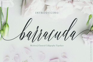 Barracuda Script: A Modern Typeface for Crafters