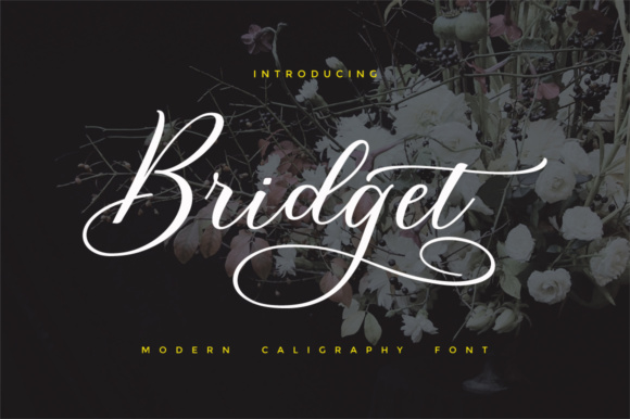 Bridget Script: The Modern Typeface for Scroll-Stopping Design