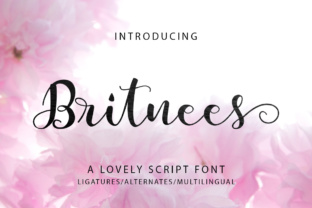 Britnees Script: A Modern Typeface for Editorial Design