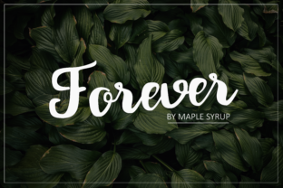 Forever Script: A Timeless Typeface for Web Design