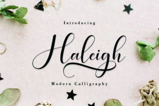 Haleigh Script: A Modern Typeface for Chic Campaigns