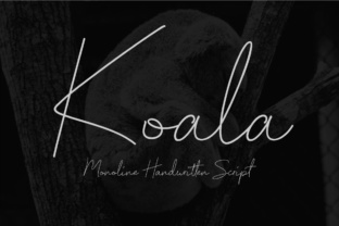 Koala Script Font for Clear Campaign Design
