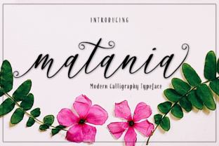 Matania Script: A Designer’s Honest Review