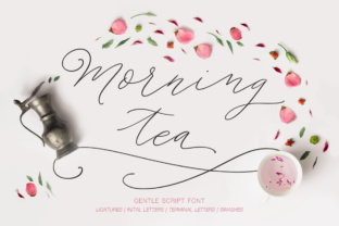 Morning Tea Script: Elevate Your Brand Typeface