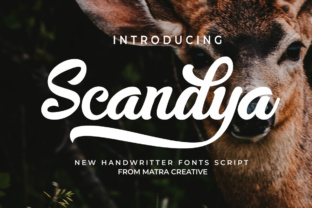 Scandya Script: The Typeface That Humanizes Your Campaigns