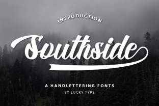 Southside Script: A Designer’s Honest Review